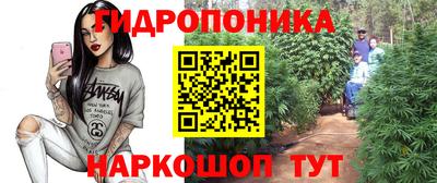 PSILOCYBIN Нальчик