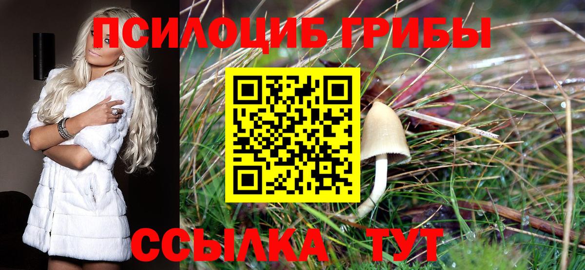 Галлюциногенные грибы прущие грибы Ржев